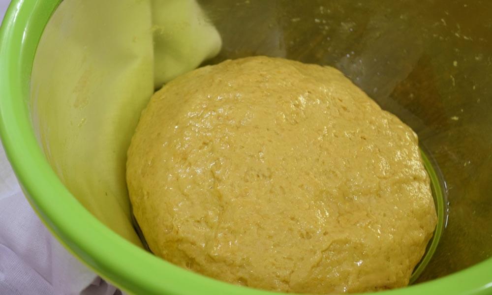 Dough for Pumpkin Dinner Rolls Dough for Pumpkin Dinner Rolls