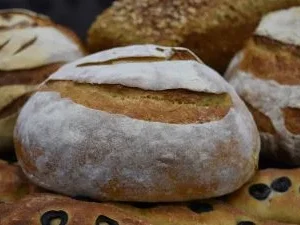 Sourdough & Preferment Breads Course